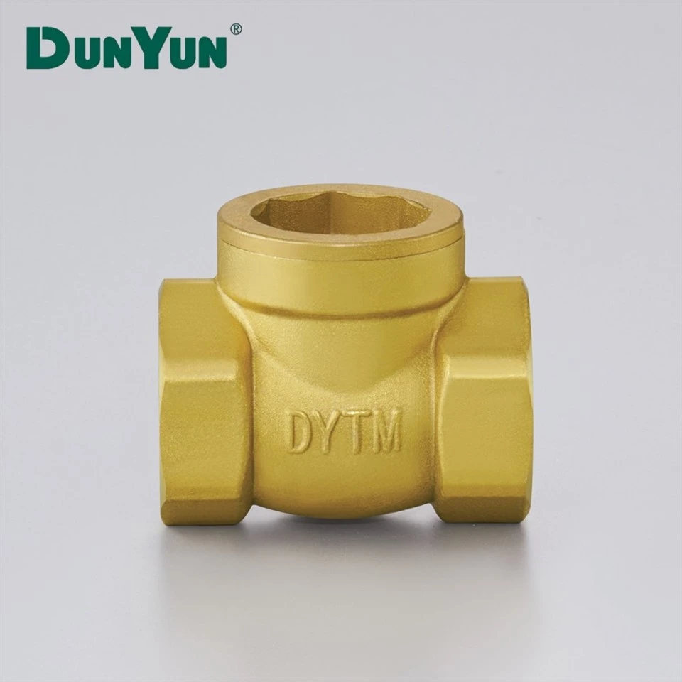 Brass Check Valve Dedicated For Water Heater high quality