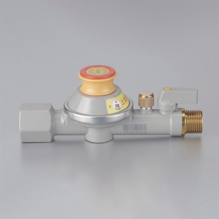 Combination Gas Valve